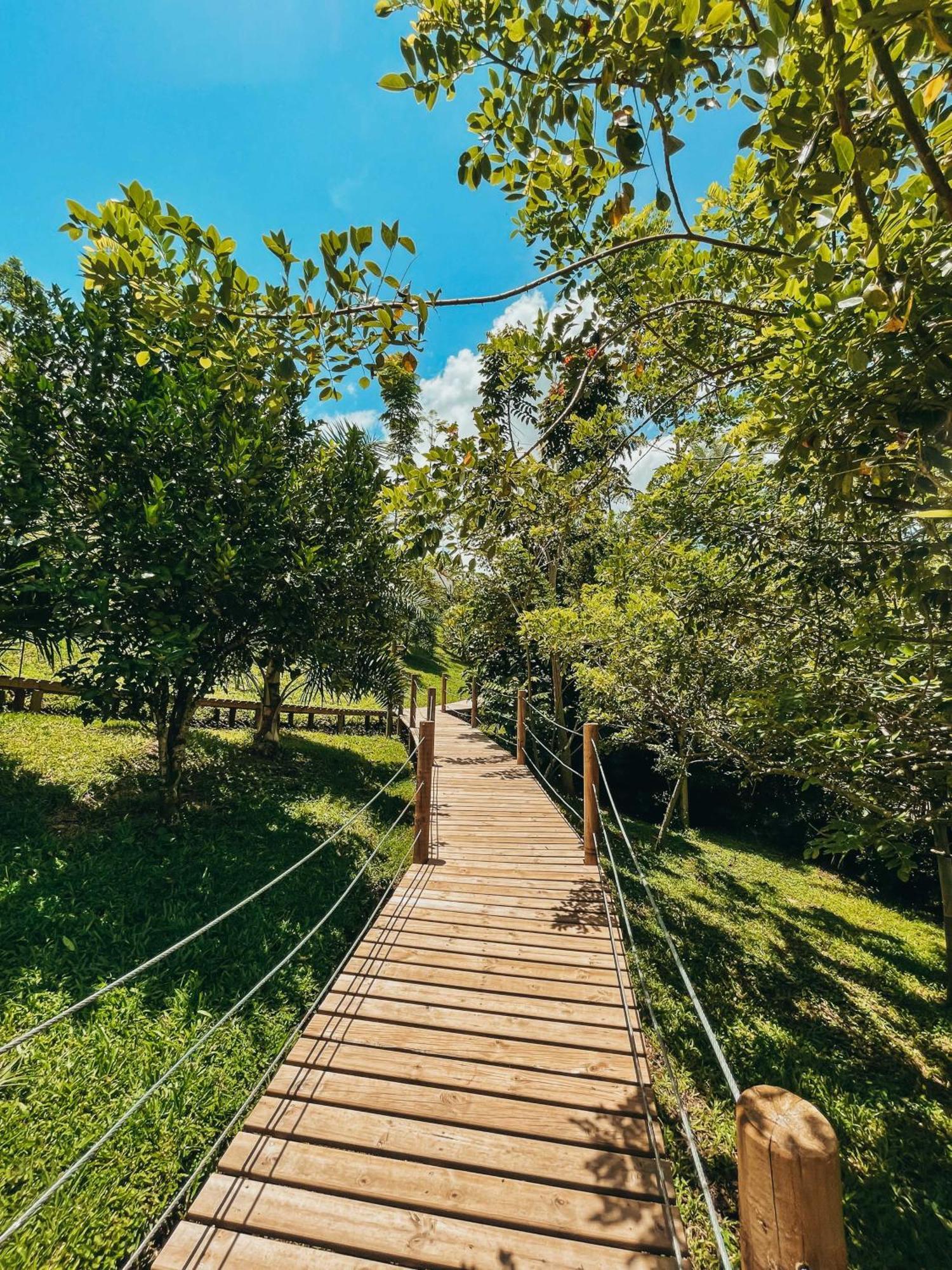 Glamping Entre Rios Hotel Calarca Bagian luar foto